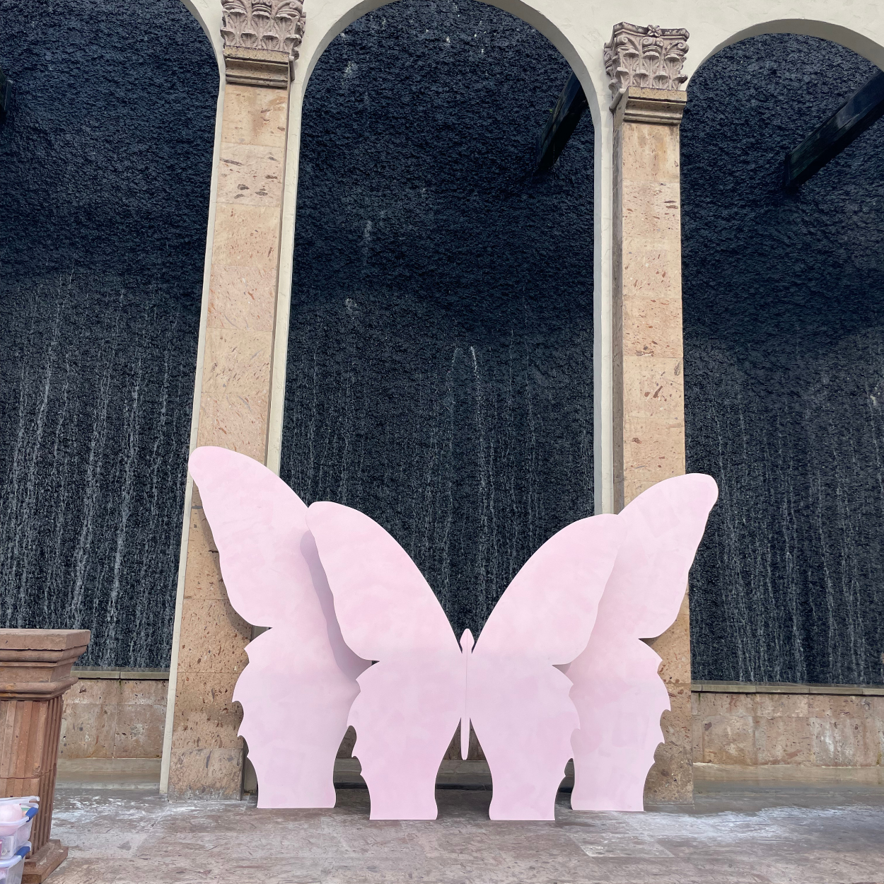 Butterflies Backdrop Set