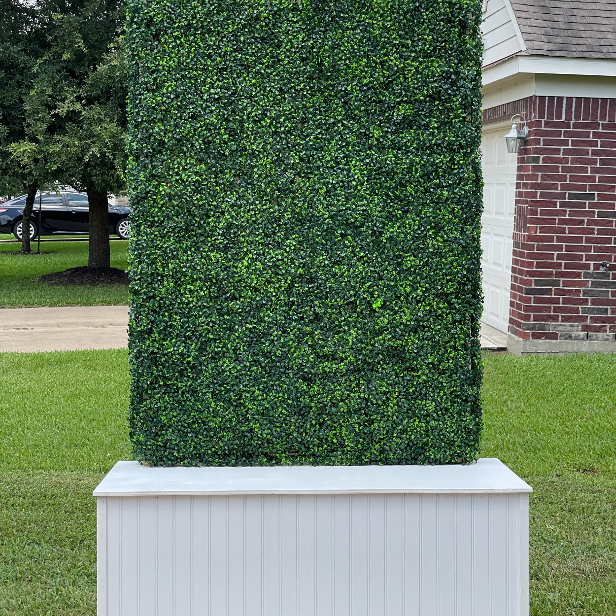 Grass Wall